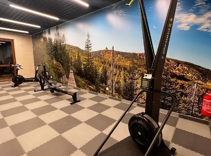 C2 Z Basenem, Sauna, Jacuzzi - 5d Apartment Szklarska Poreba